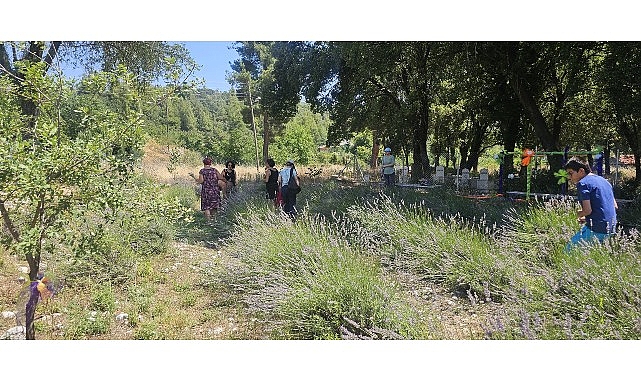 Vatandaşlar Gedelme'nin Mor Güzelliğiyle Buluştu   