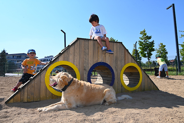 Yalova’da evcil hayvanlar için Pati Park oluşturuldu Yalova’da evcil hayvanlar için Pati Park oluşturuldu