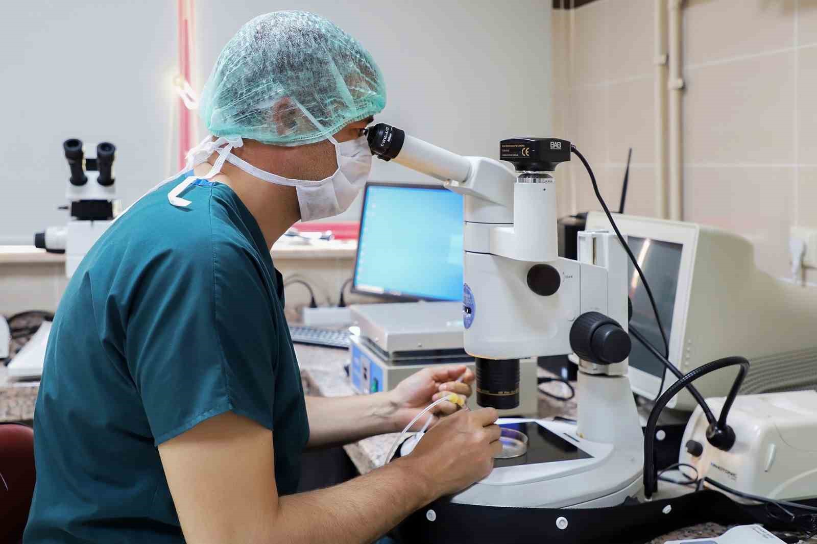 128 Tıp Fakültesi arasında 3. Sırada
128 Tıp Fakültesi arasında 3. Sırada