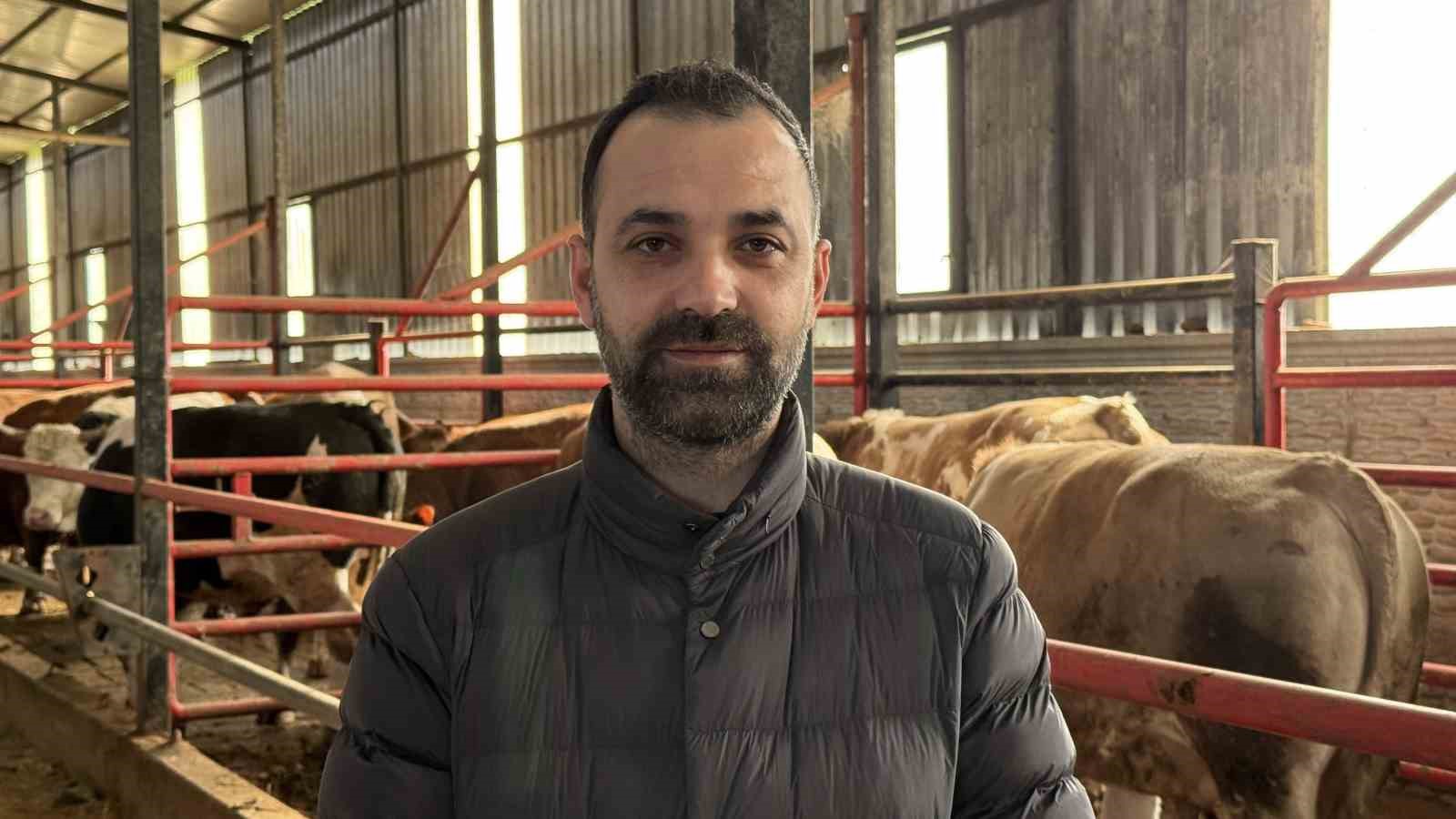 1,5 tonluk dev tosun, 950 bin liraya vitrine çıktı
