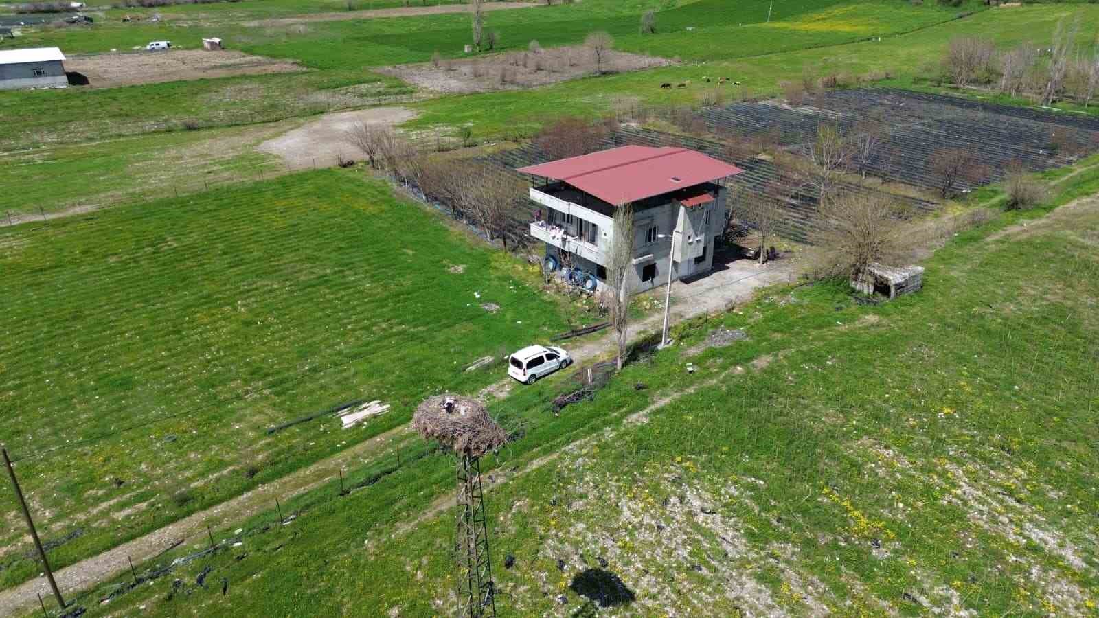 15 yıllık ’komşu’: Leylek ’Ciran’ ailenin maskotu oldu
