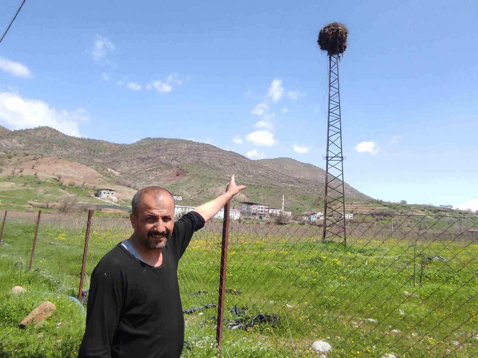 15 yıllık ’komşu’: Leylek ’Ciran’ ailenin maskotu oldu
