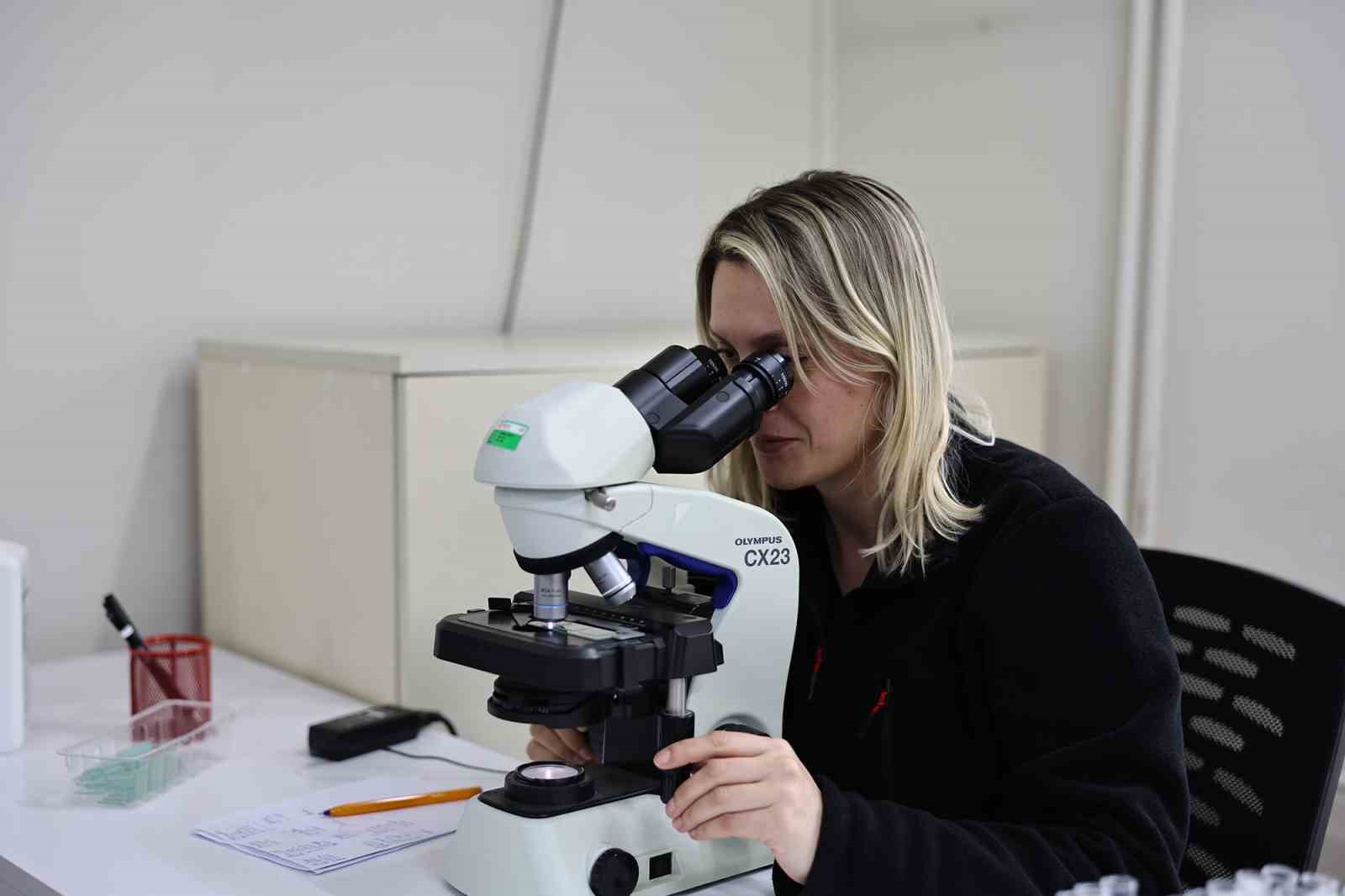 153 bin vatandaş şifayı Büyükşehir’de buldu
153 bin vatandaş şifayı Büyükşehir’de buldu