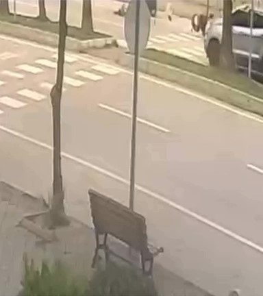 17 aylık bebeğe çarparak ölümüne neden olan sürücü ehliyetsiz çıktı
