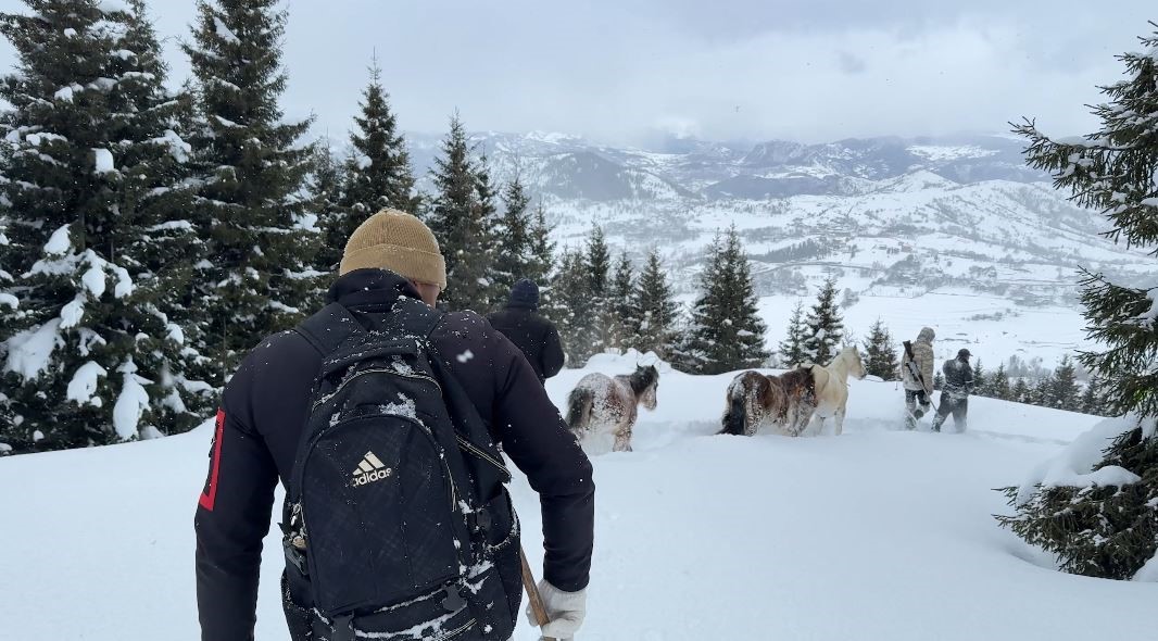2 bin 100 rakımlı kışlada aylarca kar altında mahsur kalan atları köyün gençleri kurtardı
