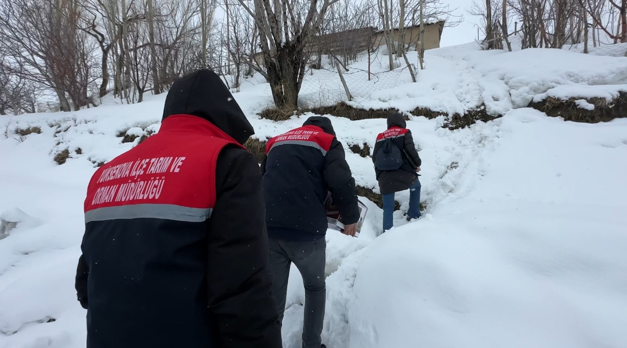 2 bin rakımda gıda seferberliği: Karlı yolları aşarak çocuklara bilgi taşıdılar
