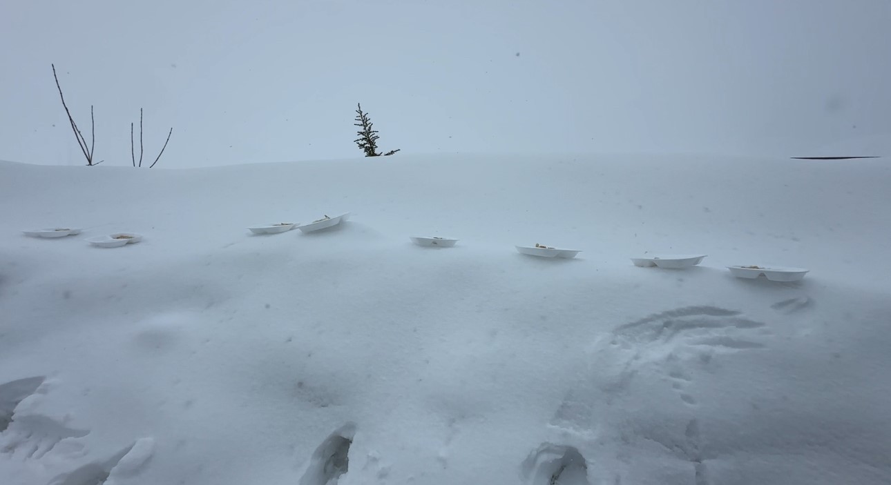 2 bin rakımda gıda seferberliği: Karlı yolları aşarak çocuklara bilgi taşıdılar

