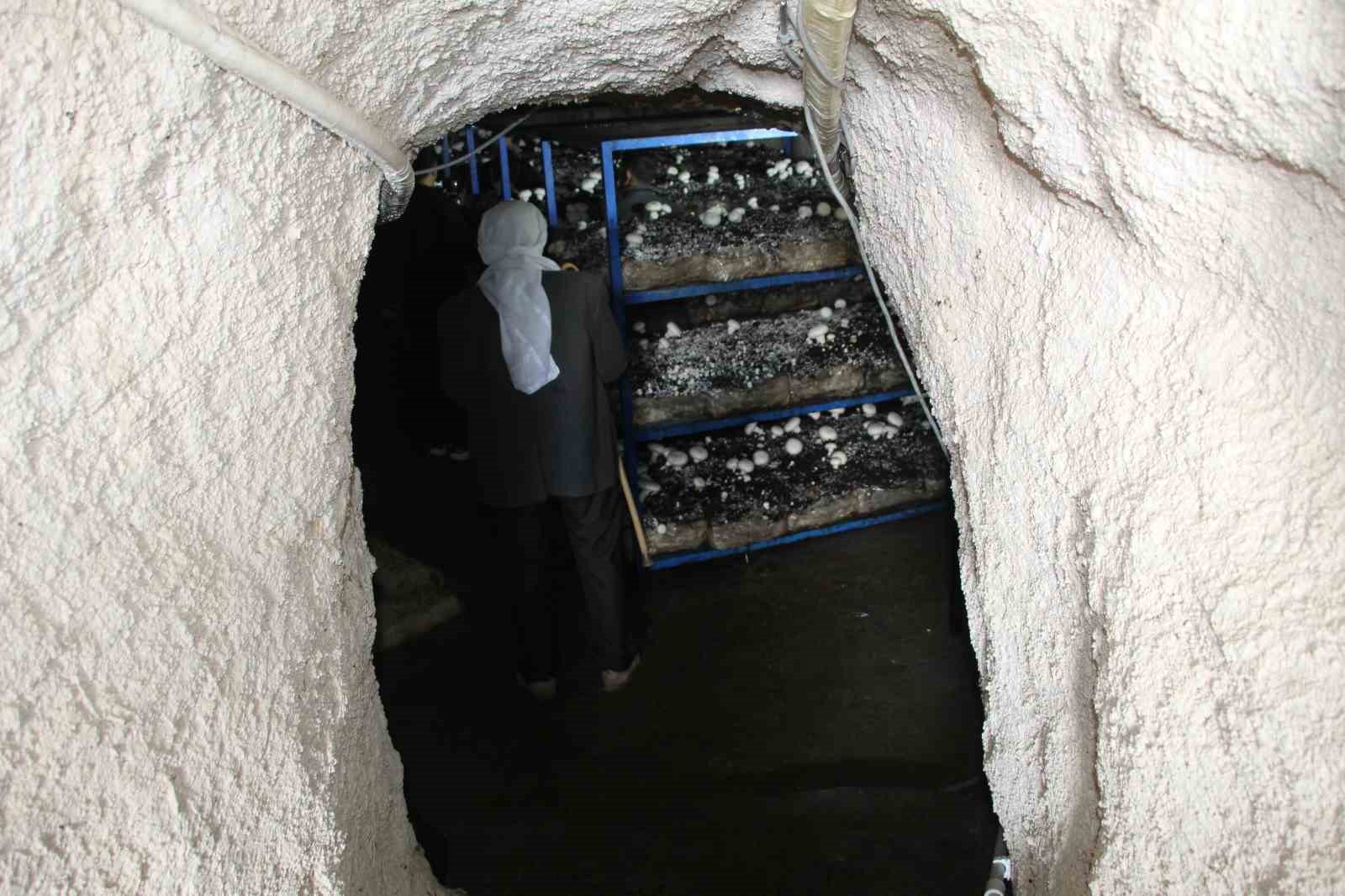 2 bin yıllık tarihi mağarada mantar üretim tesisi kurdu
2 bin yıllık tarihi mağarada mantar üretim tesisi kurdu