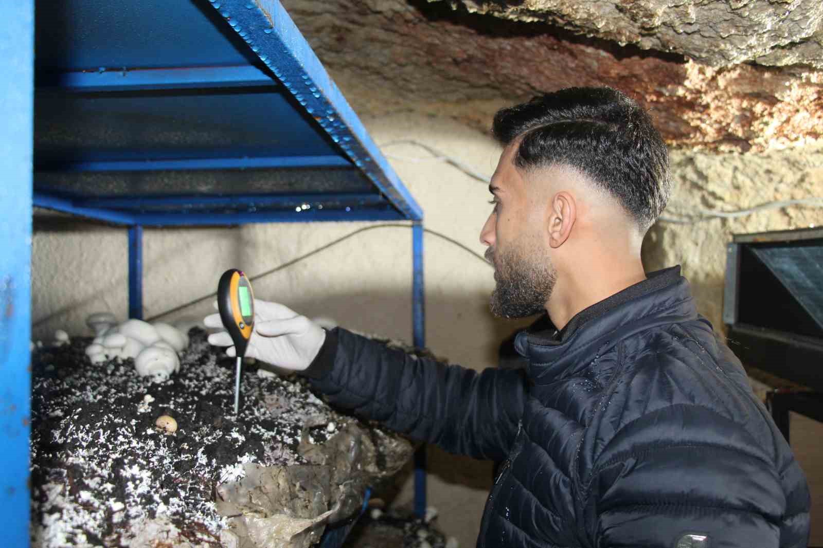 2 bin yıllık tarihi mağarada mantar üretim tesisi kurdu
2 bin yıllık tarihi mağarada mantar üretim tesisi kurdu