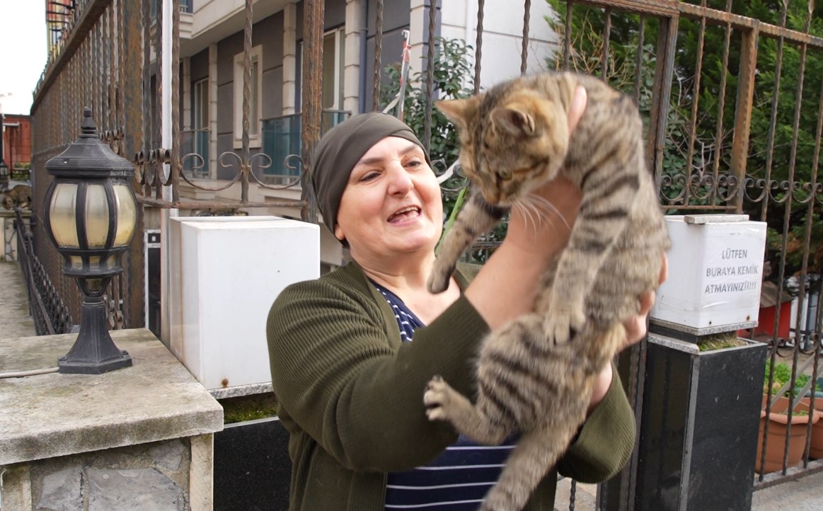 20 yıldır sokak kedilerine annelik yapıyor: "Sadece sevgi istiyorlar"
20 yıldır sokak kedilerine annelik yapıyor: "Sadece sevgi istiyorlar"