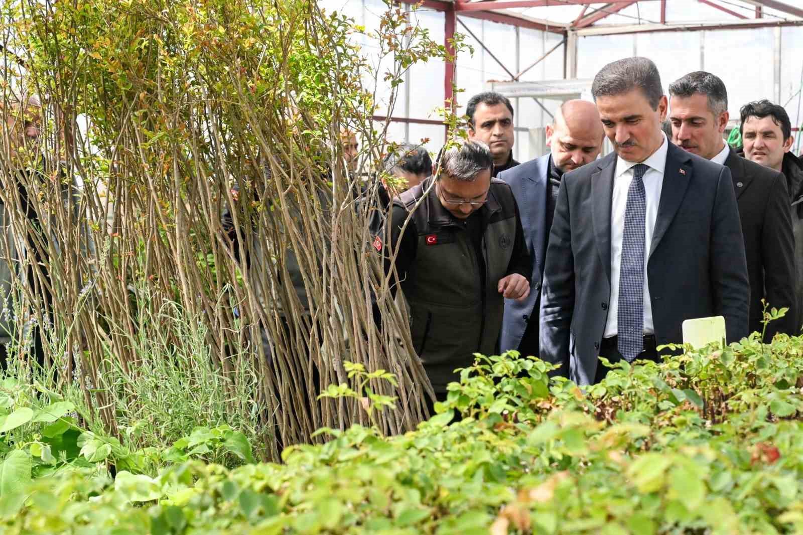 22 yılda 109 milyon 508 bin adet fidan toprakla buluştu
