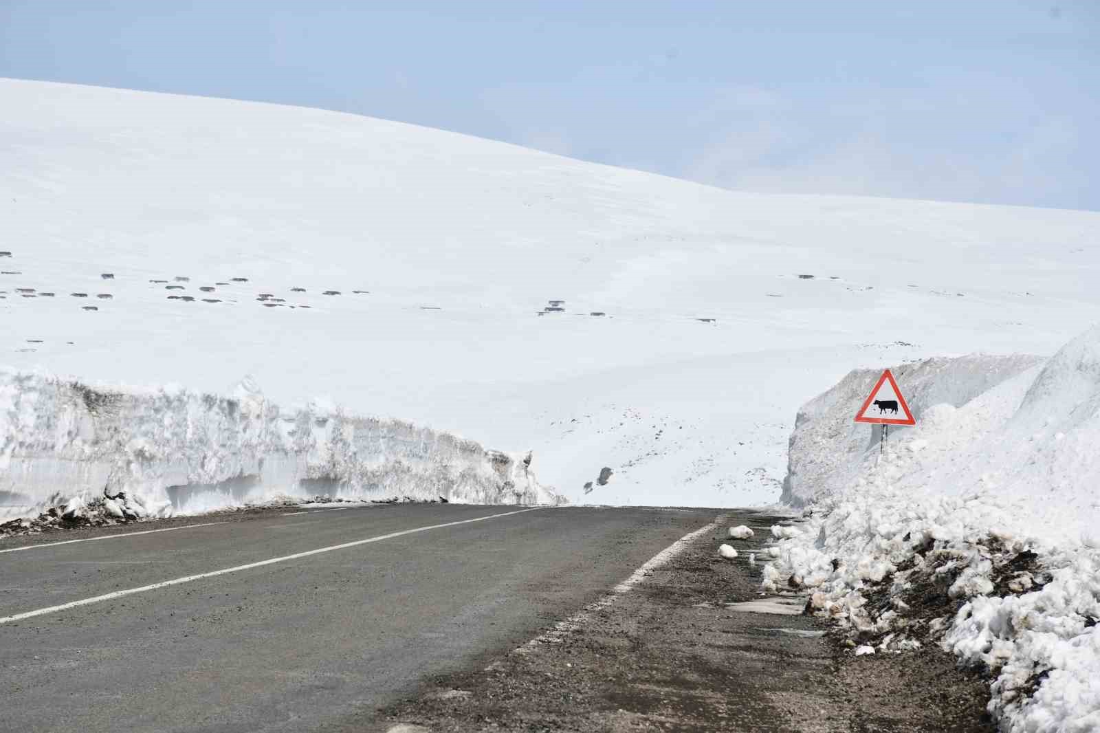2581 rakımda arıcılardan yol açma çağrısı
