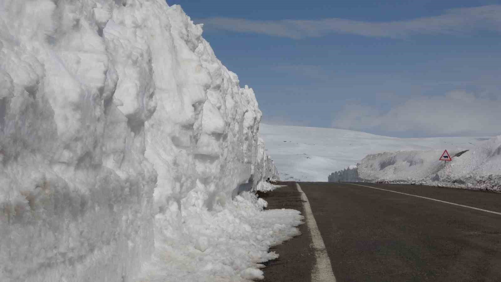 2581 rakımda arıcılardan yol açma çağrısı
