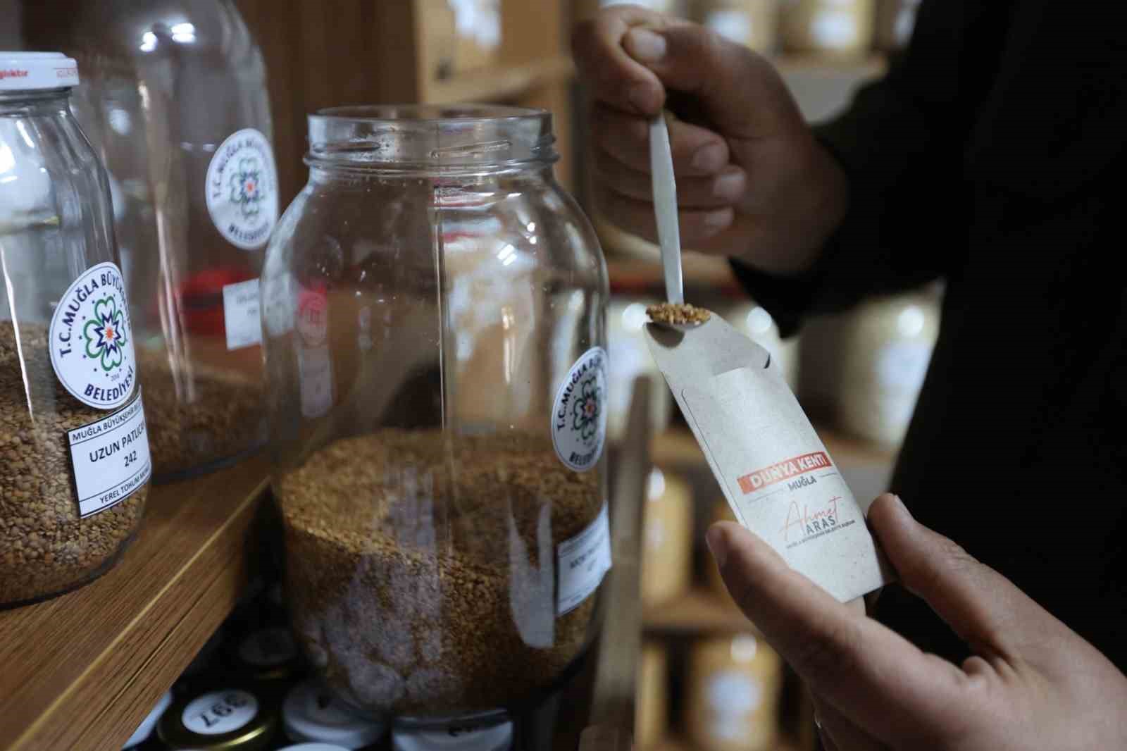 3 milyon yerel tohum dağıtıldı
