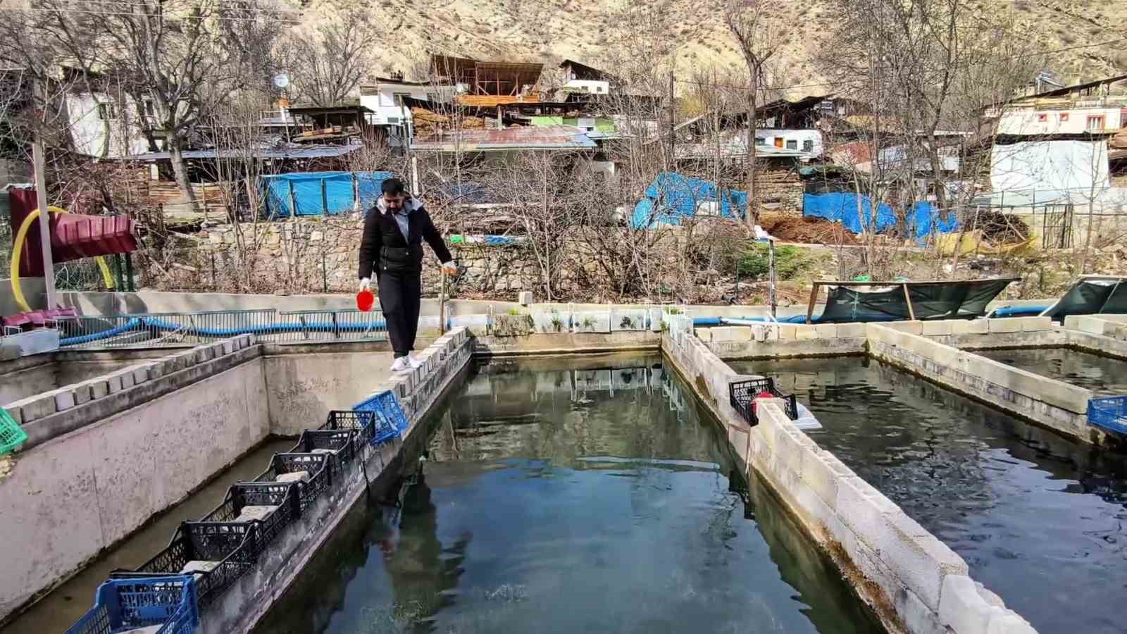 300 bin balık telef oldu; Genç girişimci ayakta kalma mücadelesi veriyor
