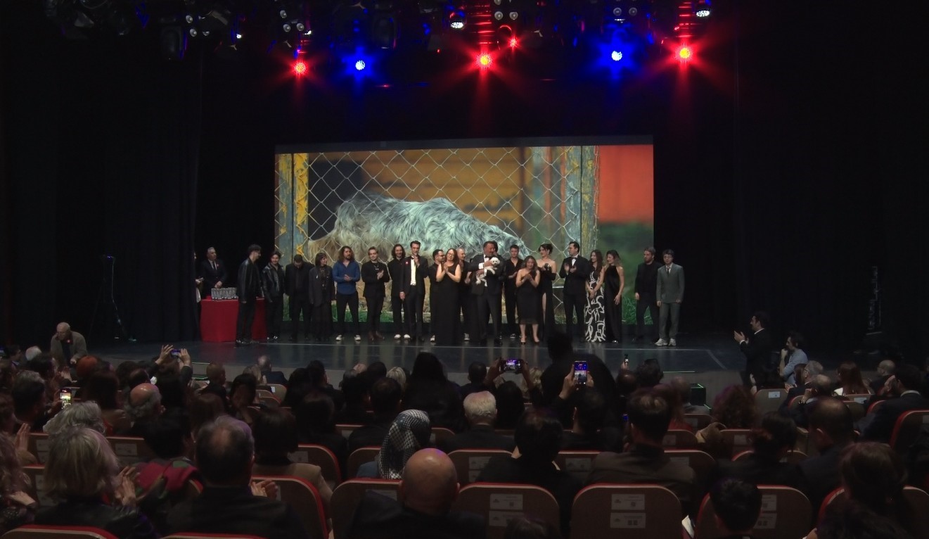 32 sanatçı, sokak hayvanları için tek bir şarkıda buluştu
