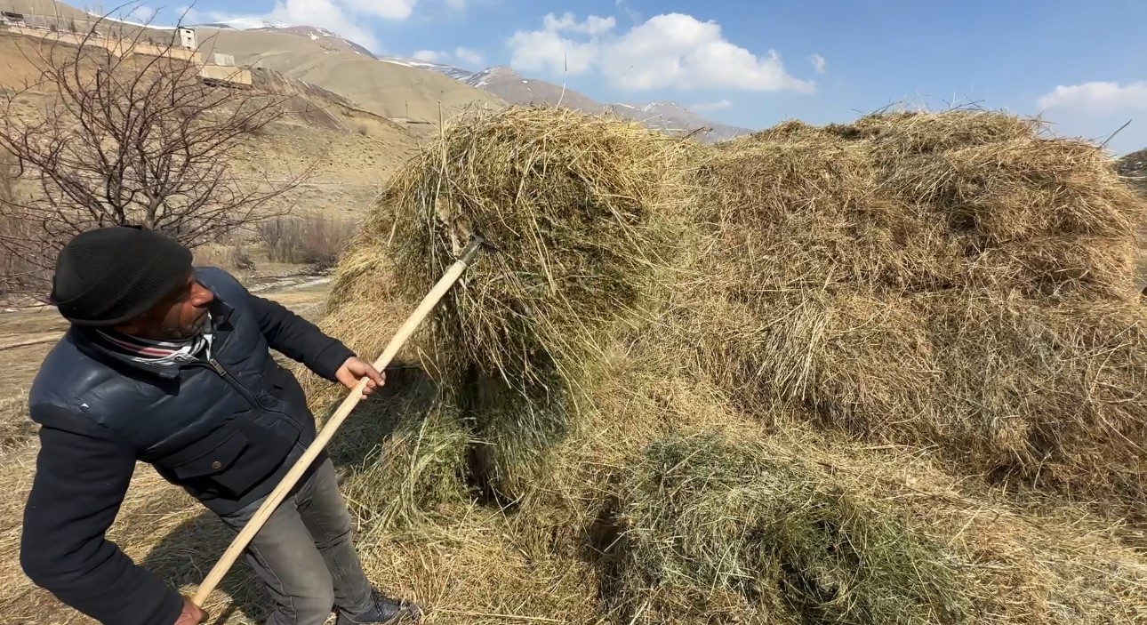 40 kilometre arayla iki mevsim: Yüksekova’da kar, Esendere’de bahar mesaisi
