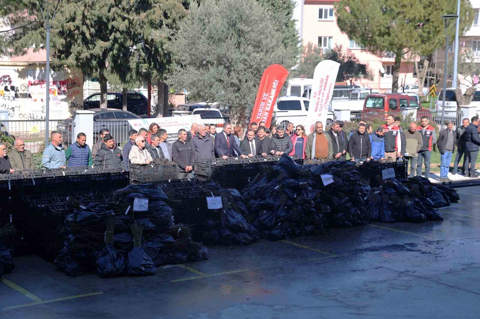 50 bin adet üzümsü fidan dağıtıldı
50 bin adet üzümsü fidan dağıtıldı