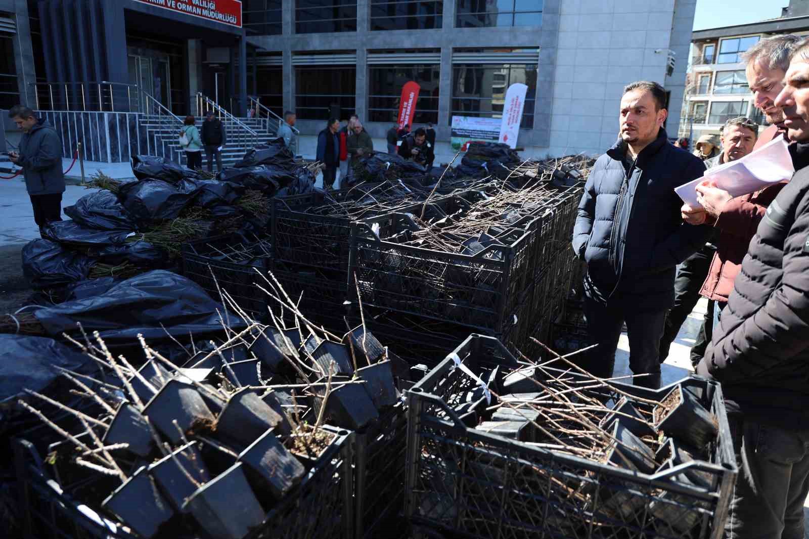 50 bin adet üzümsü fidan dağıtıldı
50 bin adet üzümsü fidan dağıtıldı