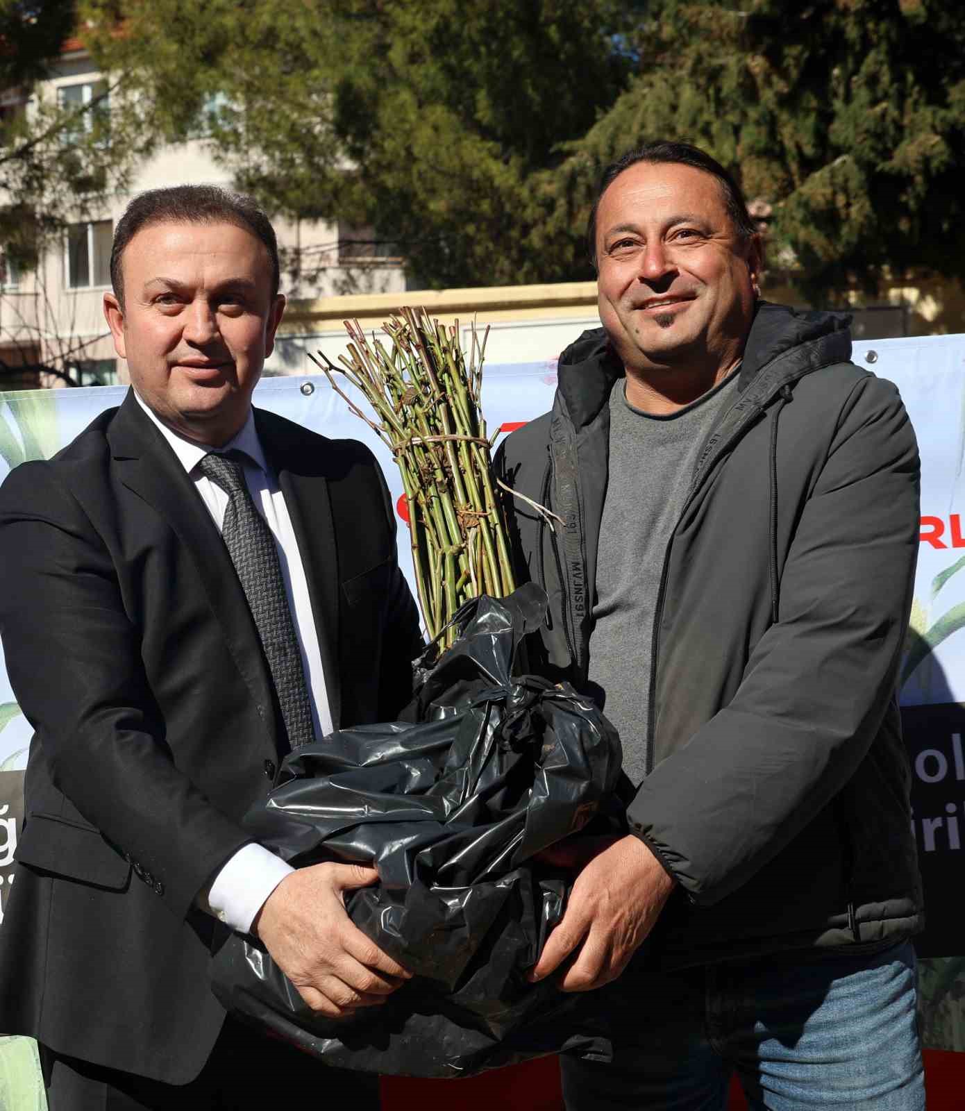 50 bin adet üzümsü fidan dağıtıldı
50 bin adet üzümsü fidan dağıtıldı