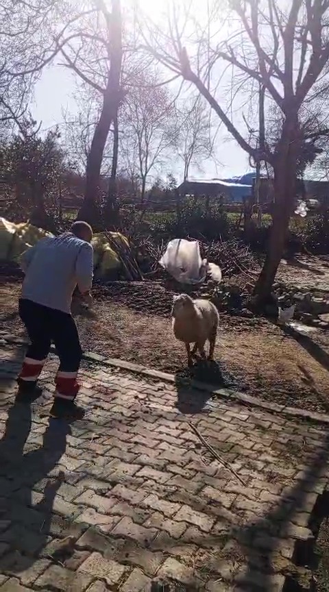 51 yaşındaki dünya şampiyonu, güreşçi koçla antrenman yaptı
