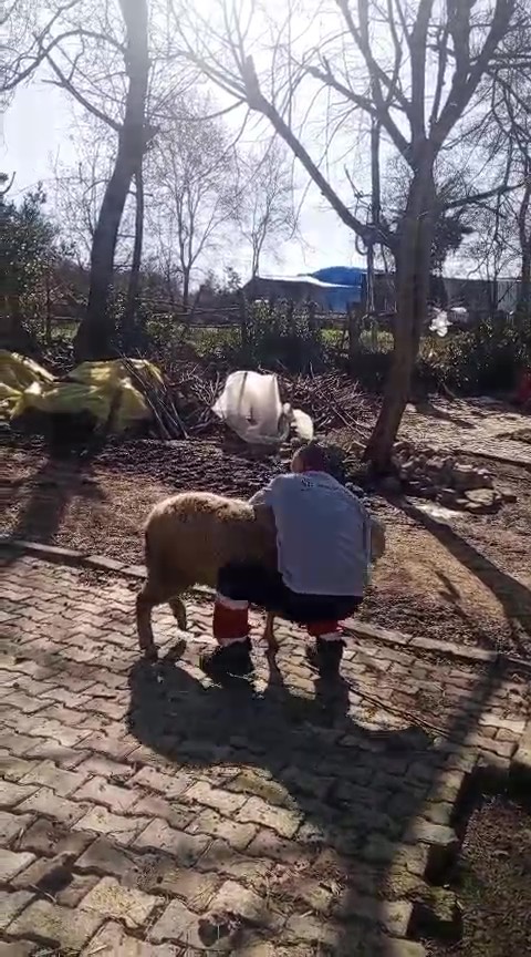 51 yaşındaki dünya şampiyonu, güreşçi koçla antrenman yaptı
