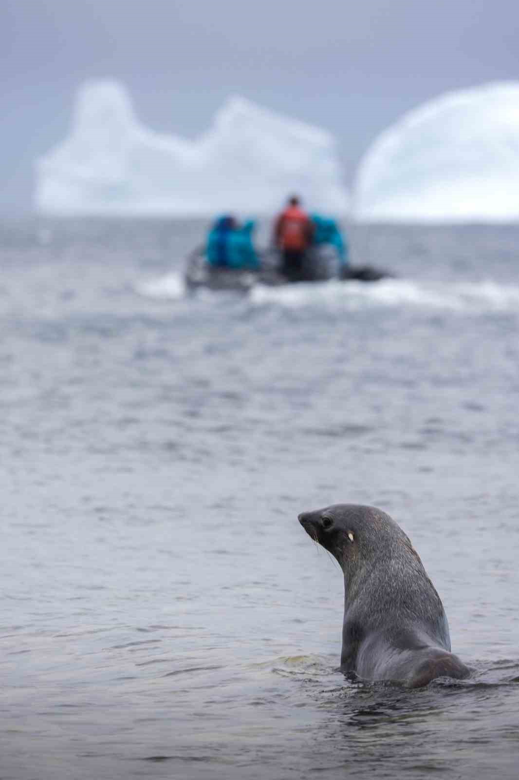 7 yaşındaki Pars, Güney Kutbu’nda Türk bayrağı açtı
