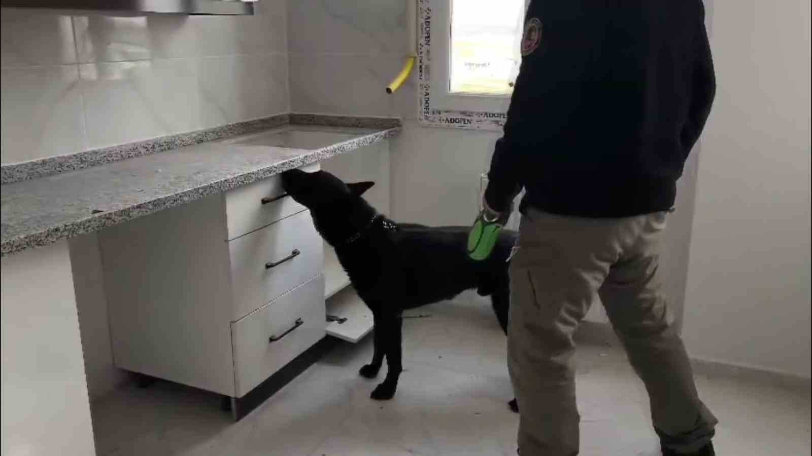 72 bin extacy yakalatıp "bizim değil" savunması yaptılar
