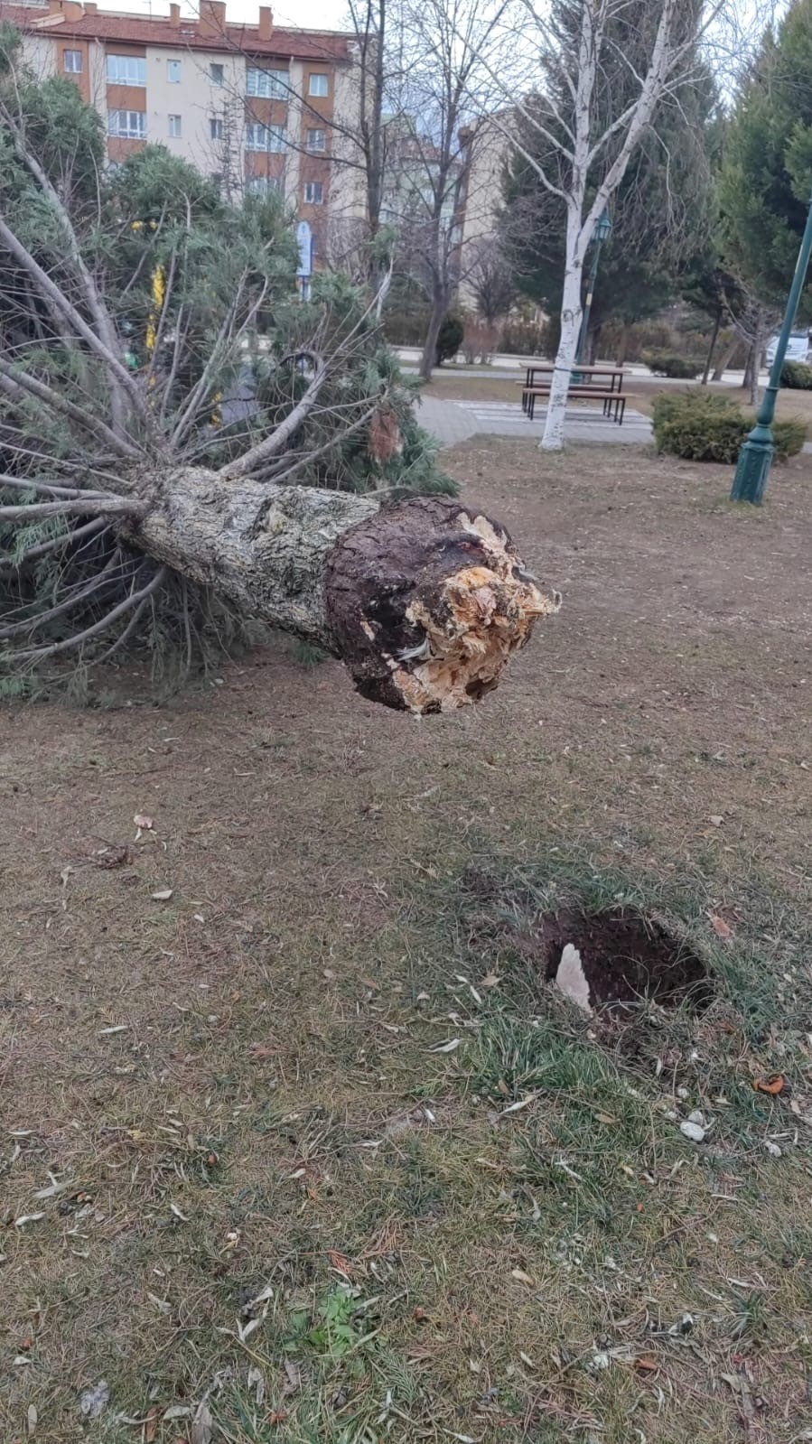 75. Yıl Mahallesi fırtınadan olumsuz etkilendi
