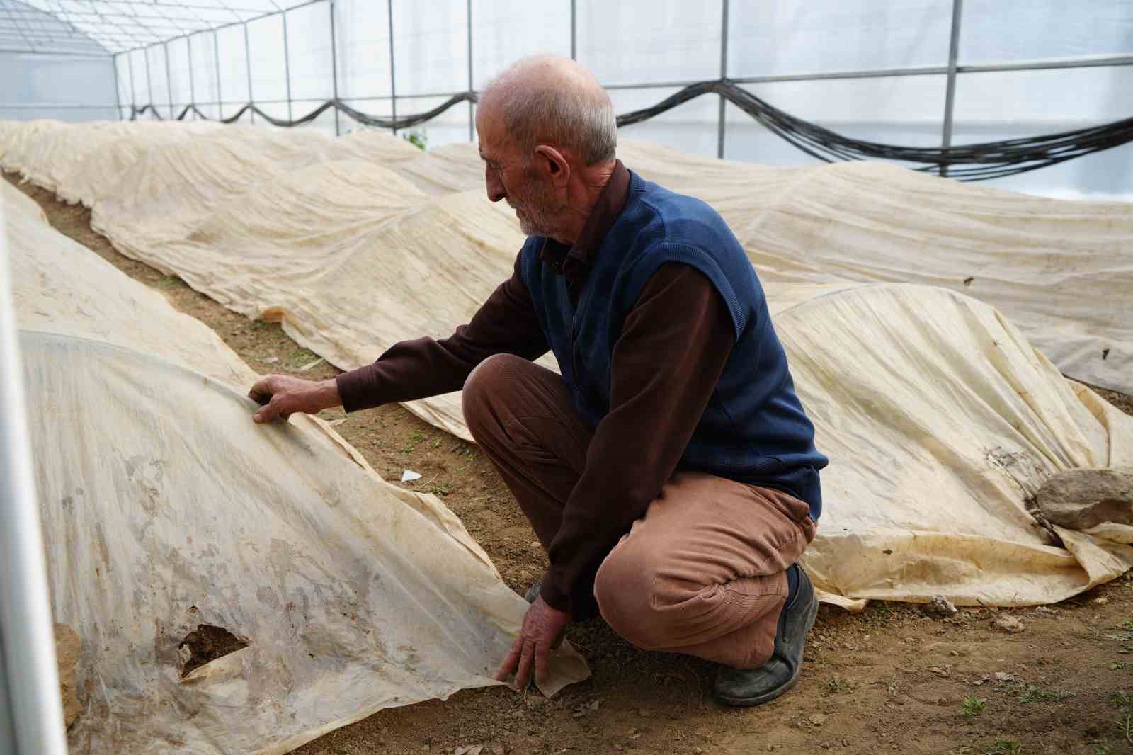 76 yaşındaki Bayburtlu üretici ata tohumları için zirai don nöbetinde
76 yaşındaki Bayburtlu üretici ata tohumları için zirai don nöbetinde