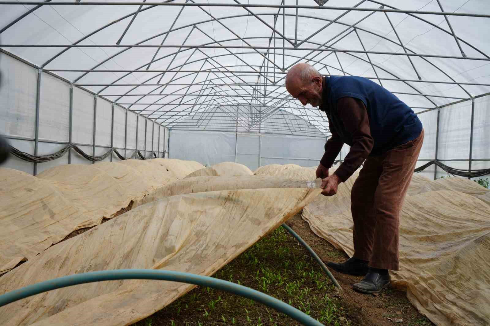 76 yaşındaki Bayburtlu üretici ata tohumları için zirai don nöbetinde
76 yaşındaki Bayburtlu üretici ata tohumları için zirai don nöbetinde