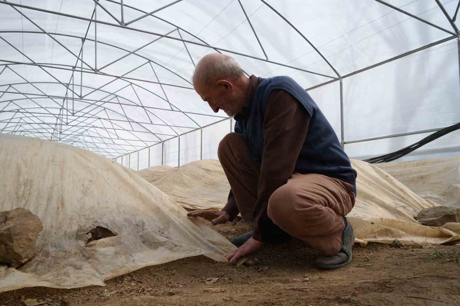 76 yaşındaki Bayburtlu üretici ata tohumları için zirai don nöbetinde
76 yaşındaki Bayburtlu üretici ata tohumları için zirai don nöbetinde