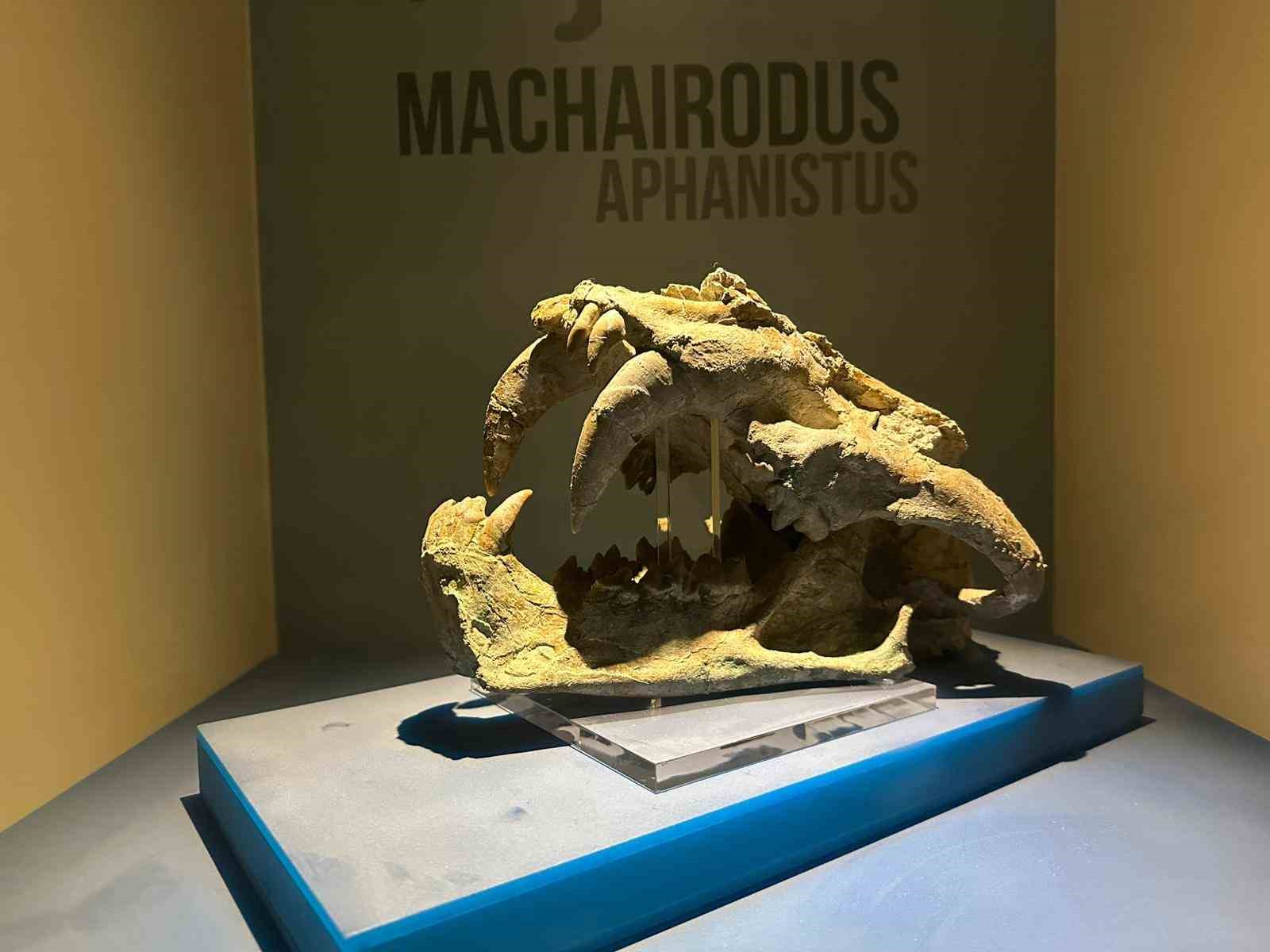 8 milyon yıl öncesine tanıklık eden müze 40 bin kişiyi ağırladı
