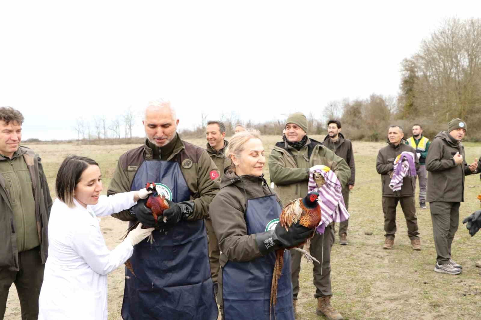 81 binden fazla göçmen kuş halkalandı
