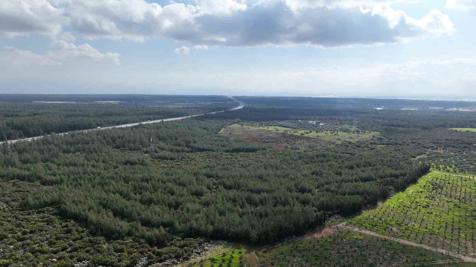 "81 İlde 81 Orman" projesi ilkbahar dikimleriyle devam ediyor
"81 İlde 81 Orman" projesi ilkbahar dikimleriyle devam ediyor