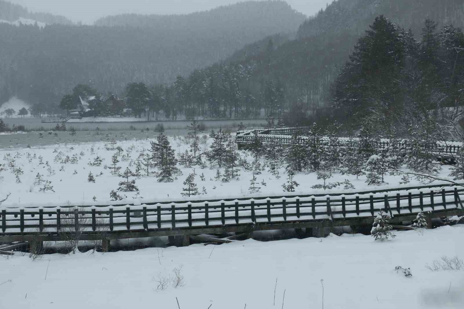 Abant Gölü Milli Parkı beyaza büründü
