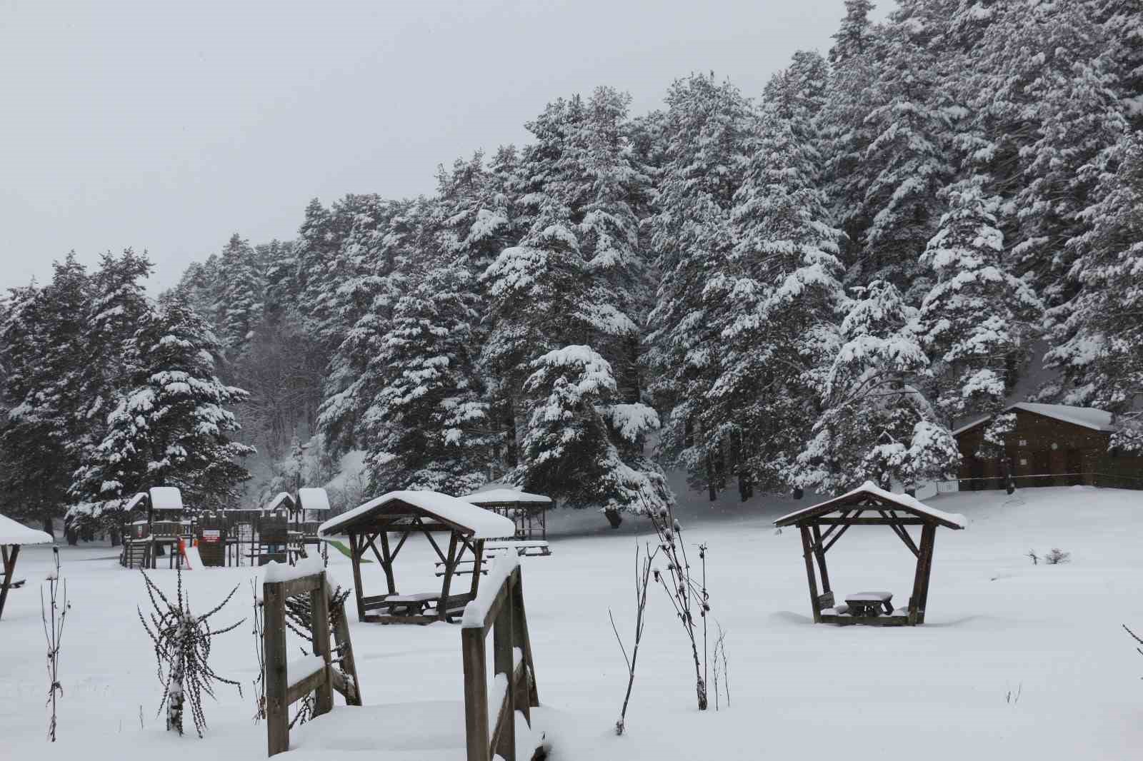 Abant Gölü Milli Parkı beyaza büründü
