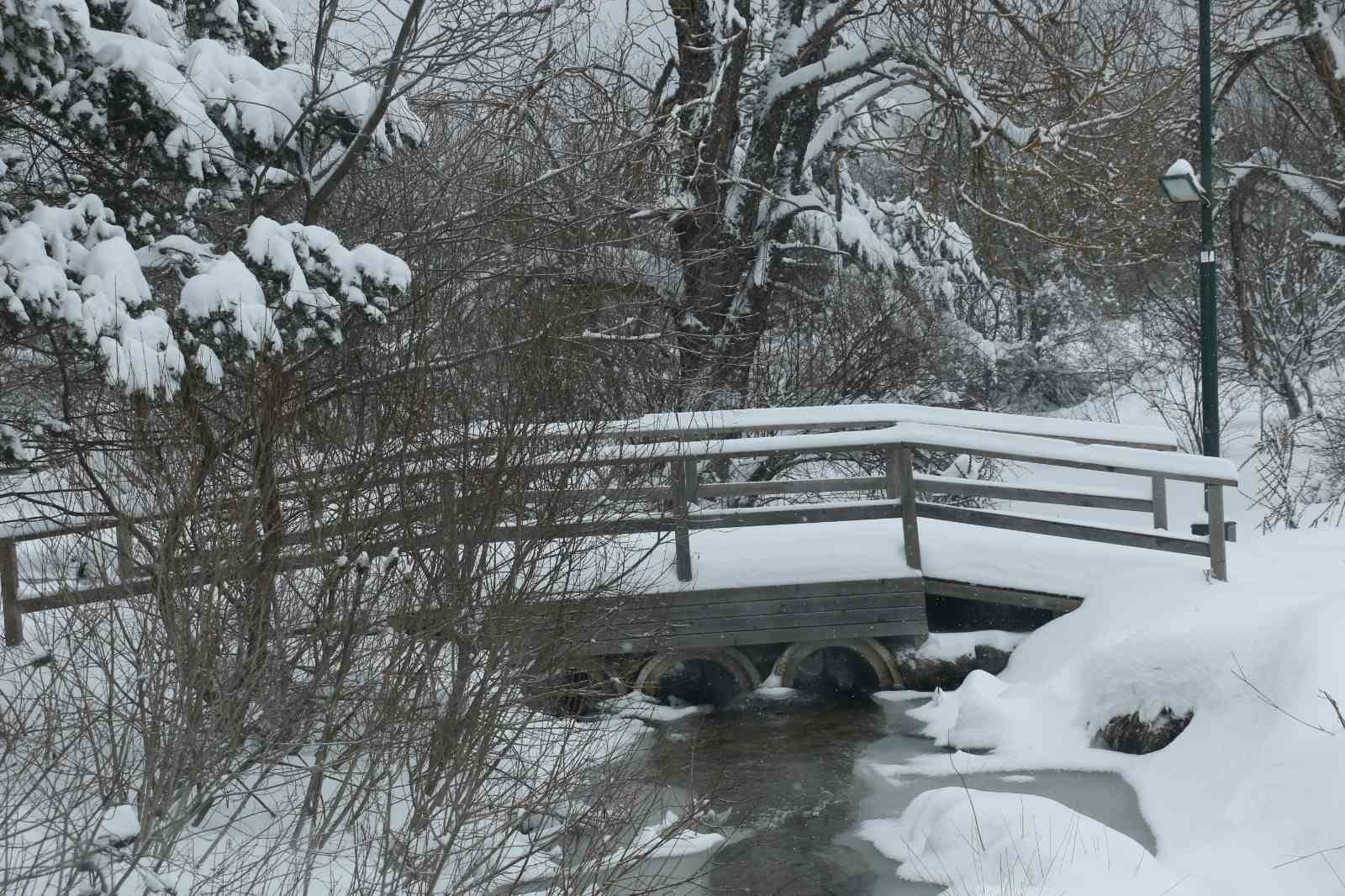 Abant Gölü Milli Parkı beyaza büründü

