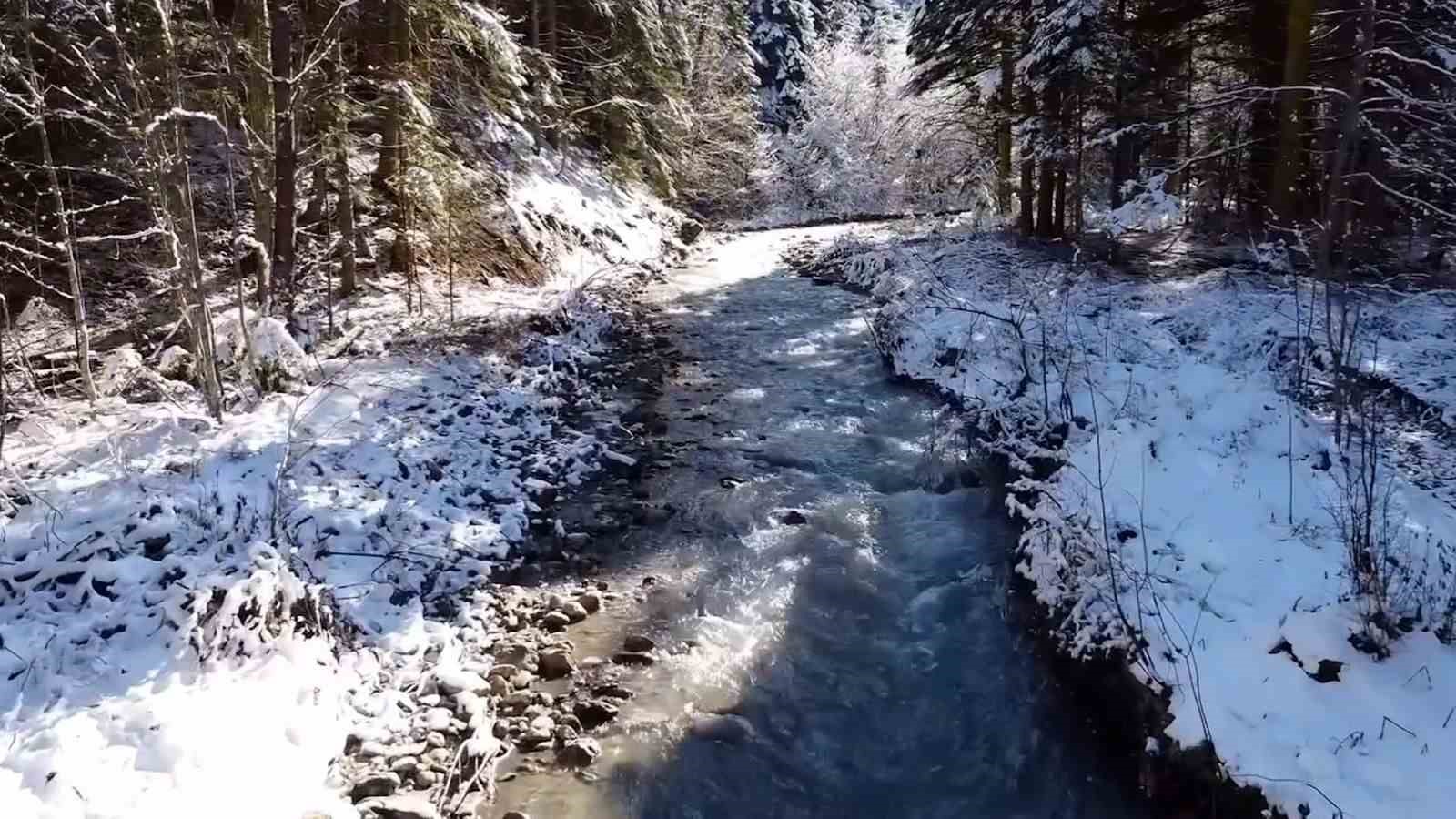 Abant Gölü’nde kış güzelliği
