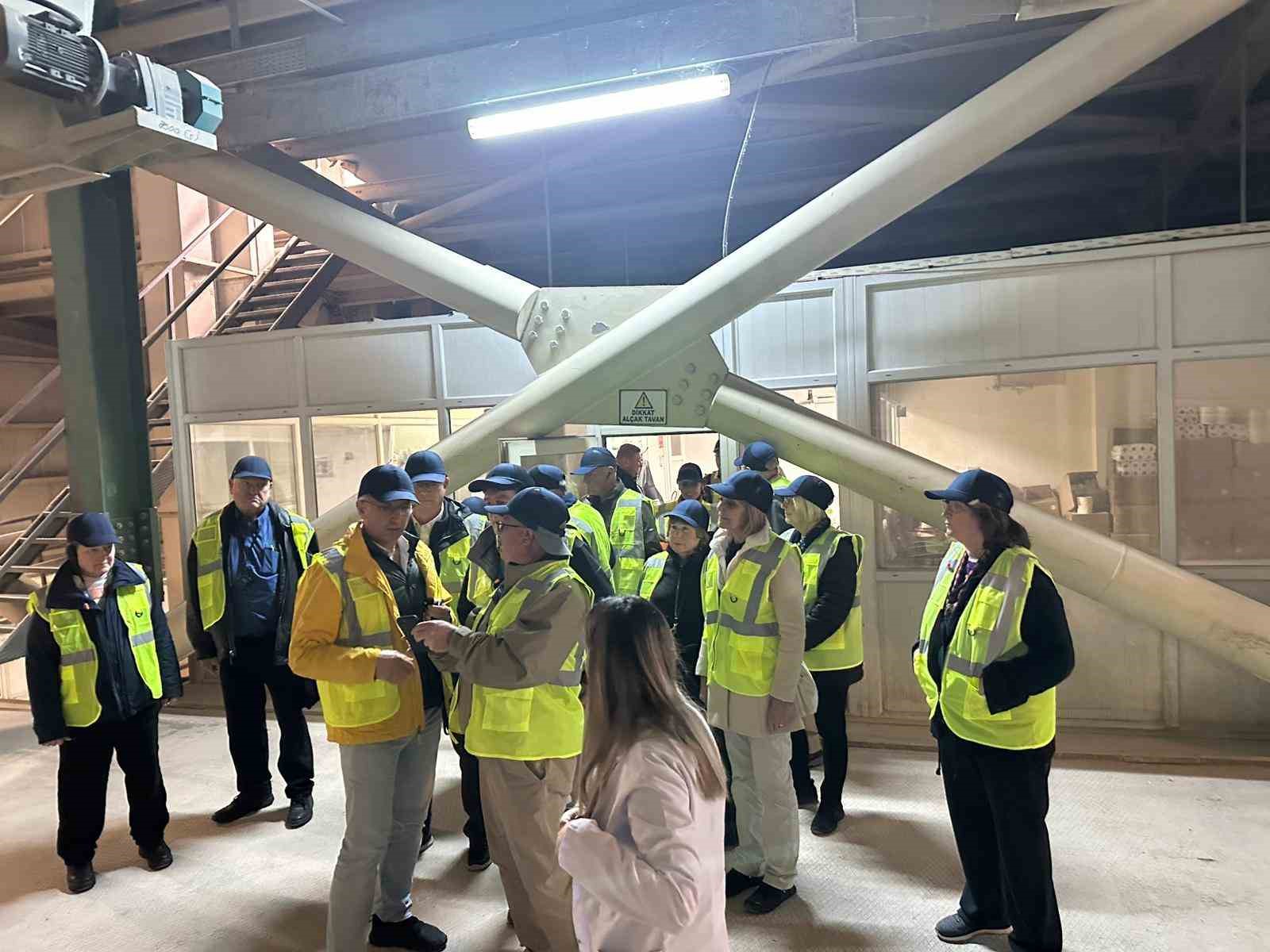 ABD Türk tavuğunun peşinde
