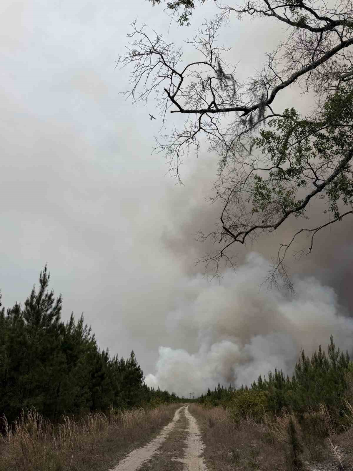 ABD’de orman yangınları: 54 ev ve 27 bin dönümlük alan küle döndü
