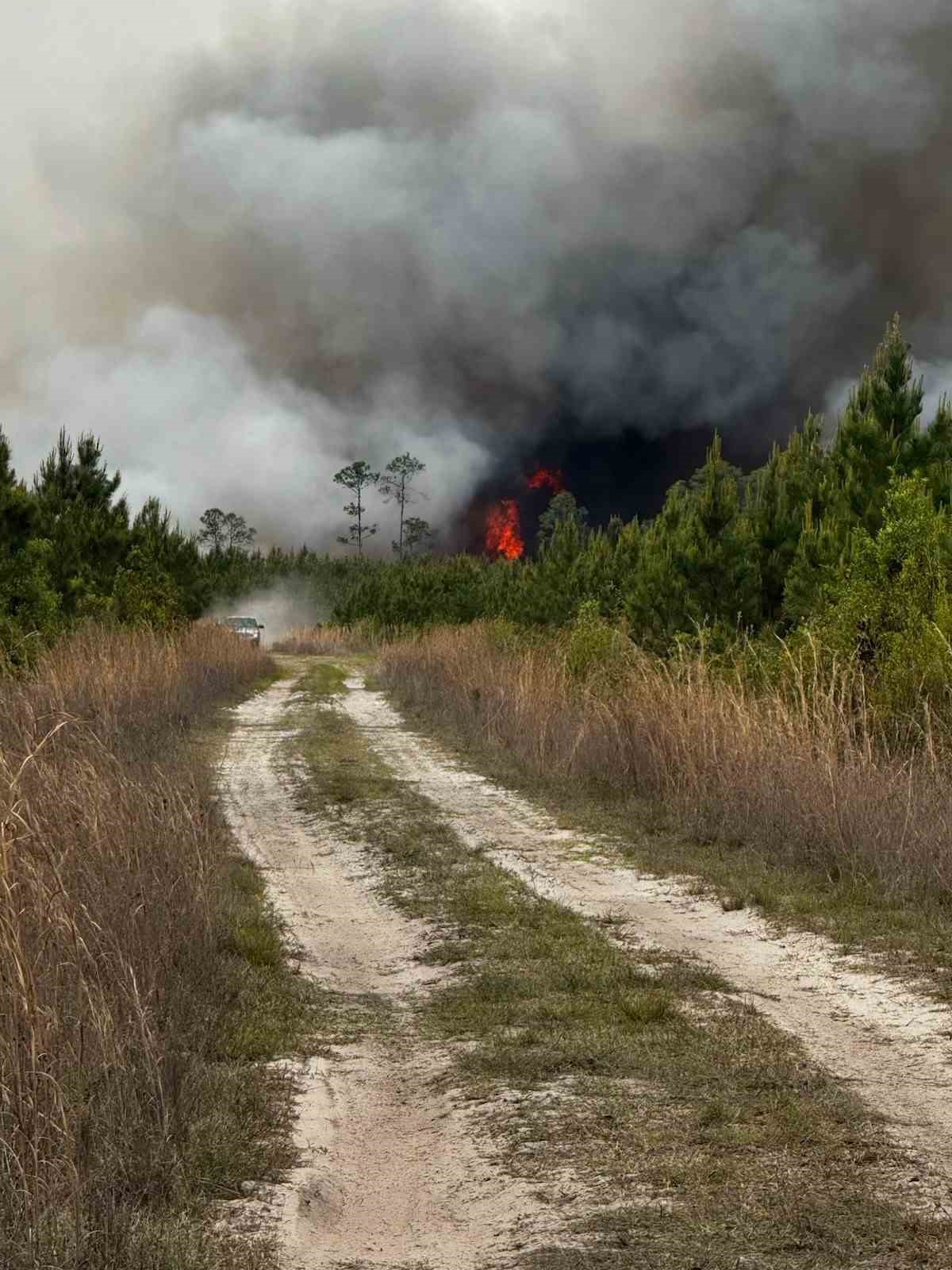 ABD’de orman yangınları: 54 ev ve 27 bin dönümlük alan küle döndü
