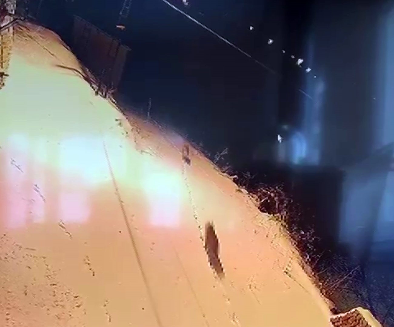 Aç kalan kurt sürüsü şehir merkezine indi
