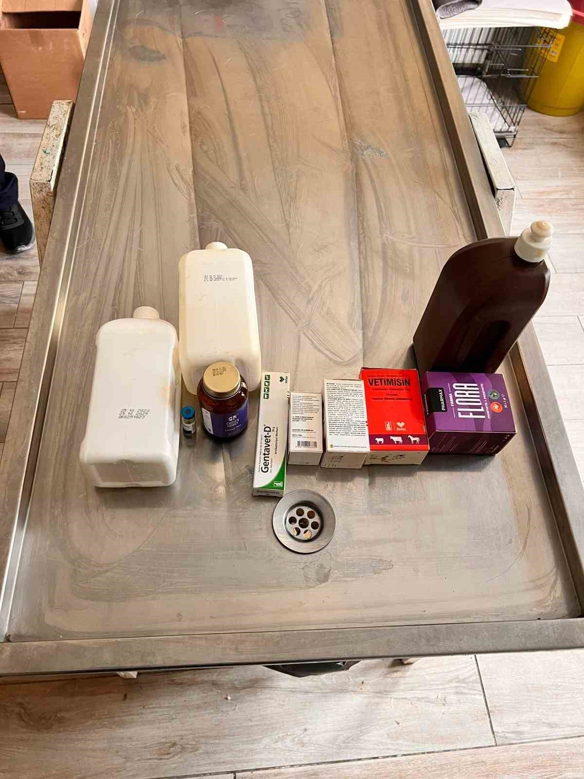 Açlıktan birbirini yiyen köpeklerin bakıldığı barınakta birçok ilacın tarihinin geçtiği belirlendi
