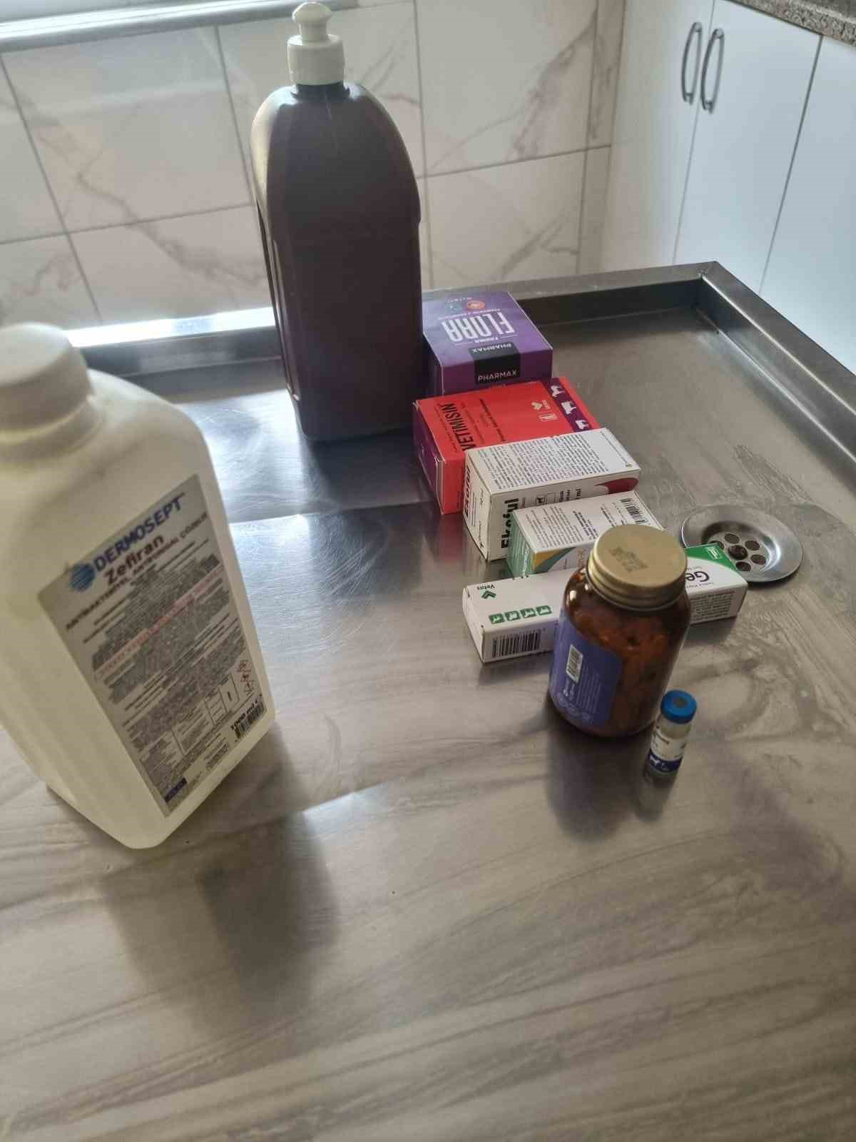 Açlıktan birbirini yiyen köpeklerin bakıldığı barınakta birçok ilacın tarihinin geçtiği belirlendi
