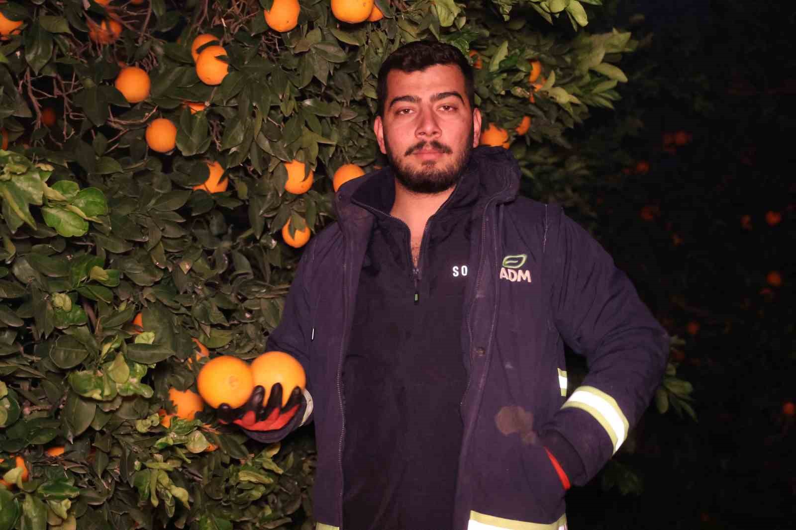 Adana eksiyi gördü, bahçelerde sazlı sözlü zirai don nöbeti tutuldu
Adana eksiyi gördü, bahçelerde sazlı sözlü zirai don nöbeti tutuldu