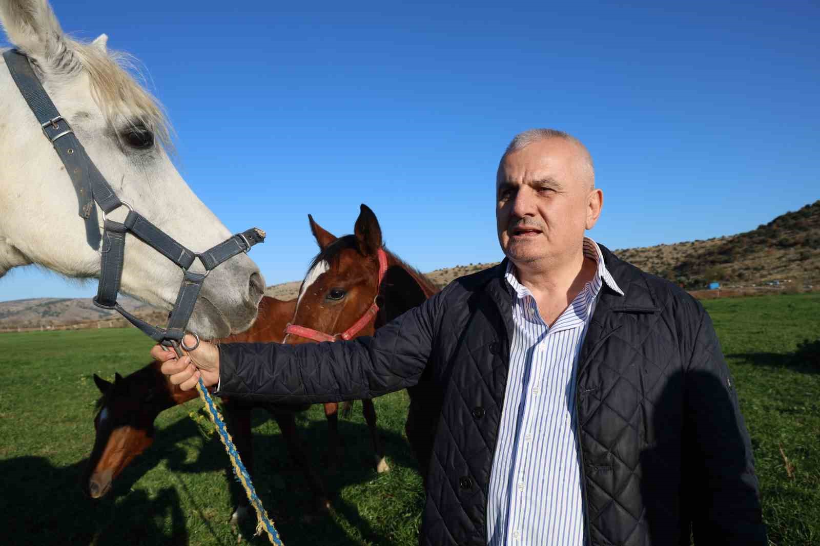 Adana milyonluk İngiliz ve Arap atlarının yetişme alanı oldu
