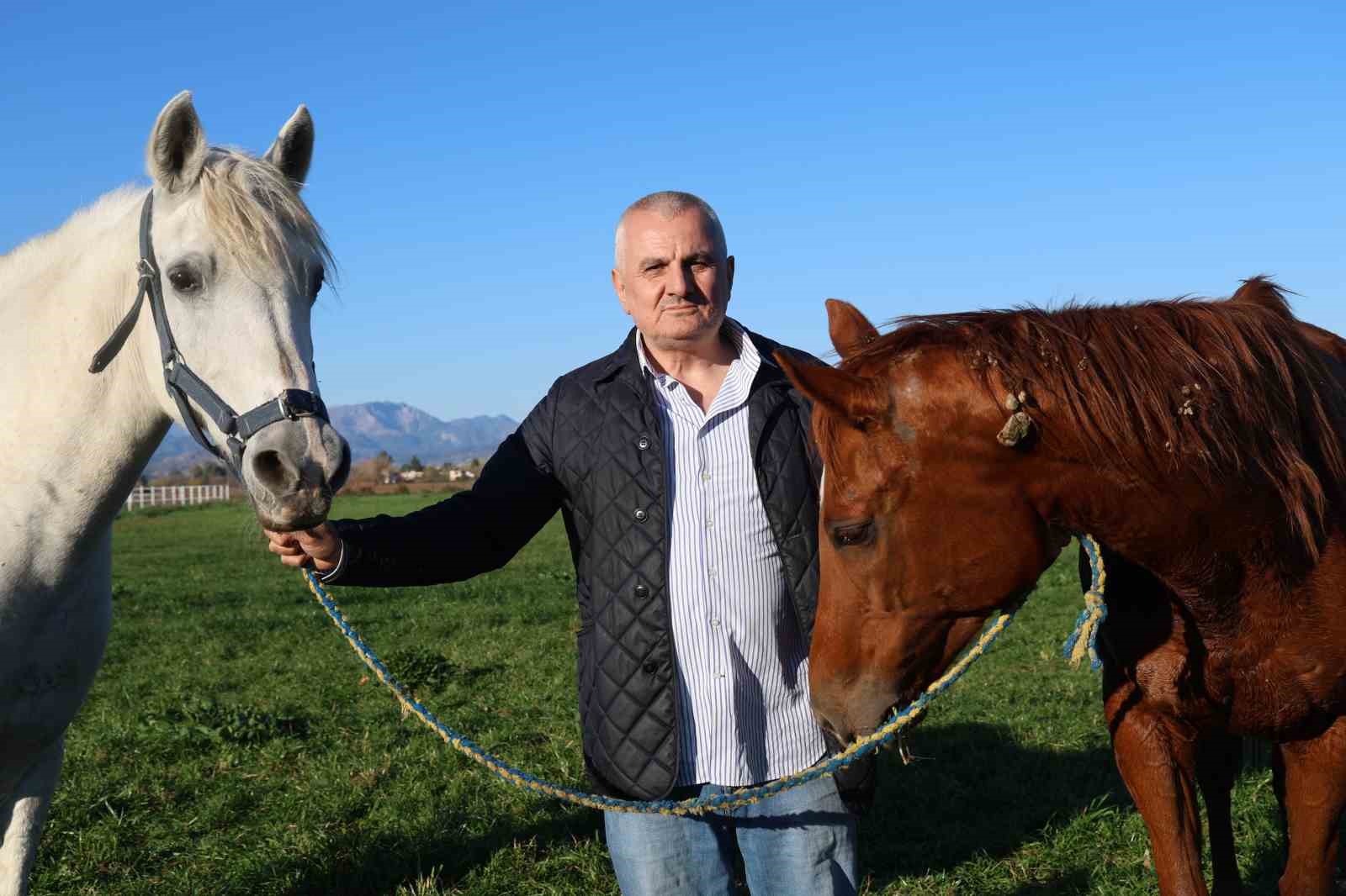 Adana milyonluk İngiliz ve Arap atlarının yetişme alanı oldu
