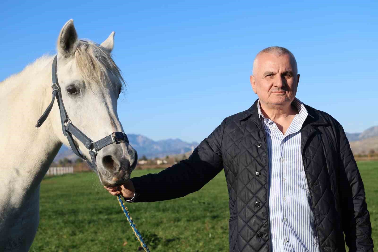 Adana milyonluk İngiliz ve Arap atlarının yetişme alanı oldu
