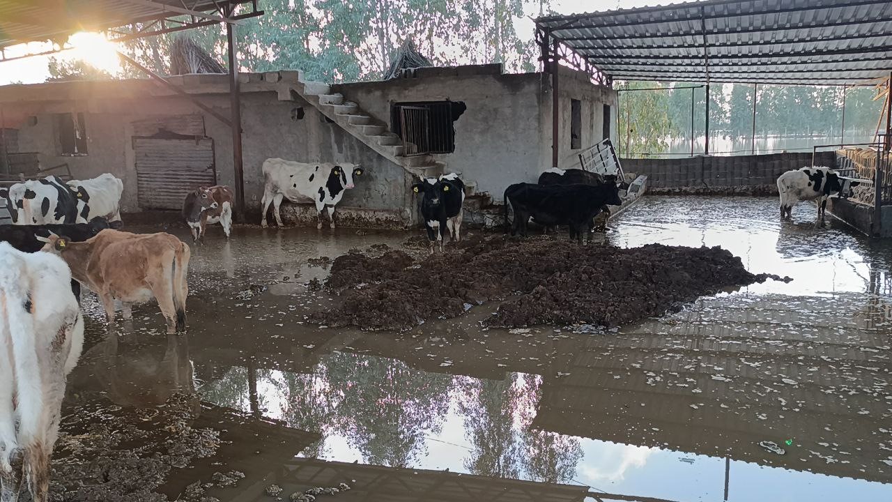 Adana’da afetin boyutu havadan görüntülendi
